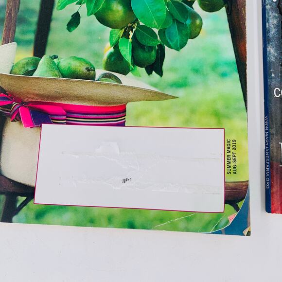 Mary Janes Farm Magazine Lot of 2 August - Octobter 2019 Summer Magic Nesting - Picture 4 of 8